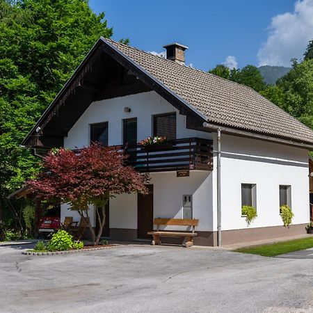 Apartma Pri Lipi Bohinj Dış mekan fotoğraf