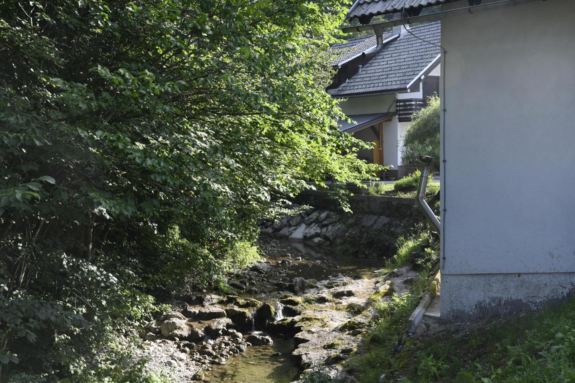 Apartma Pri Lipi Bohinj Dış mekan fotoğraf