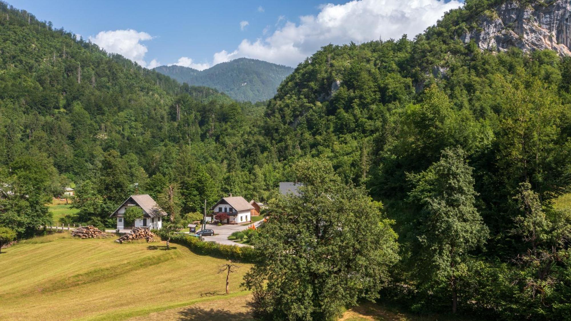Apartma Pri Lipi Bohinj Dış mekan fotoğraf